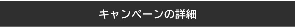 レビューキャンペーンの詳細