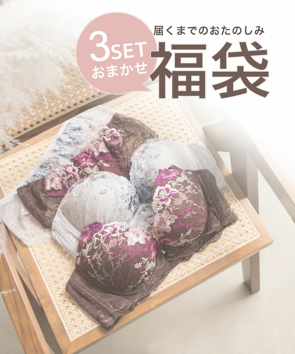 ブラジャー&ショーツ3点セット福袋 | 大きいサイズ レディース専門店
