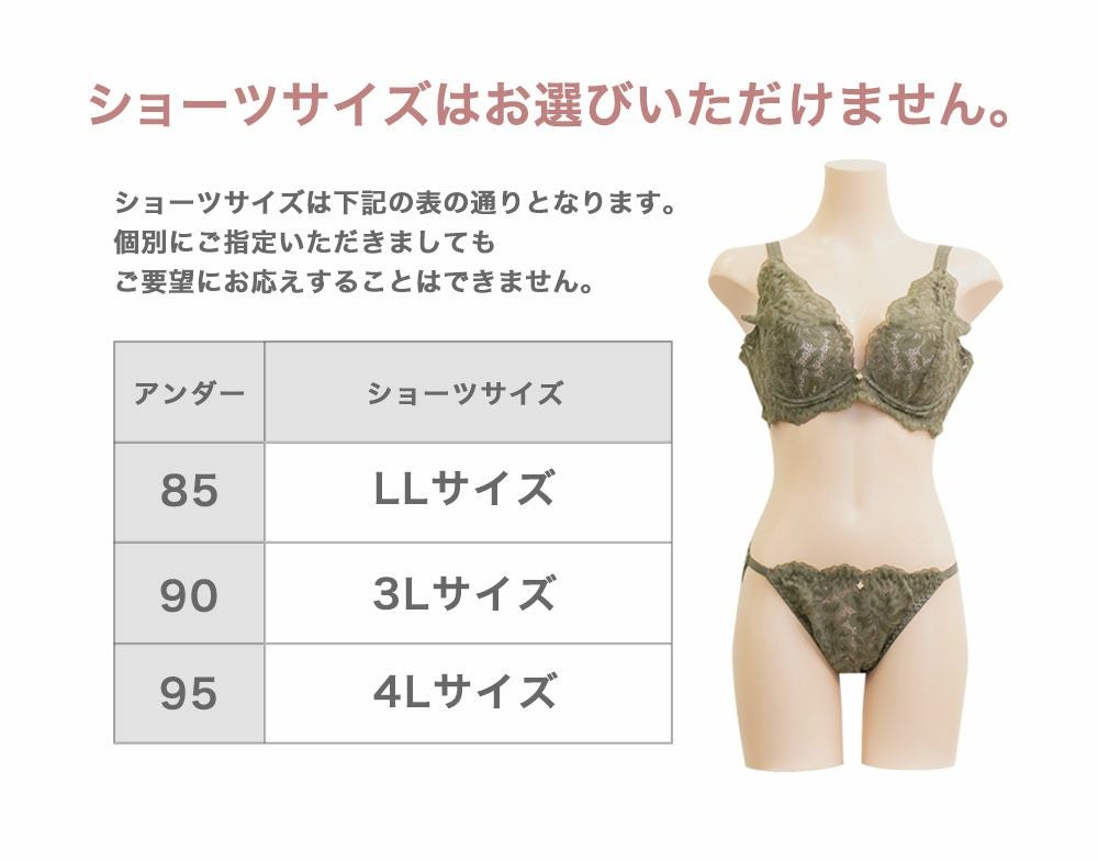 ブラジャー&ショーツ3点セット福袋 | 大きいサイズ レディース専門店